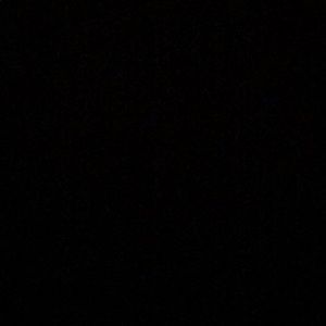 Meet your Posher, Shon